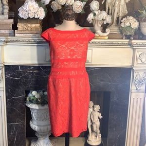 Adrianna Papell coral lace fitted sheath dress